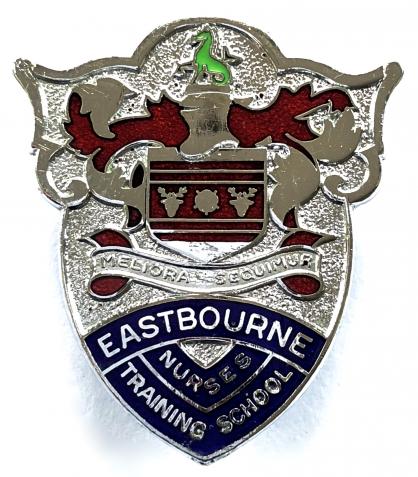 Eastbourne Nurses Training School Sussex qualification badge.