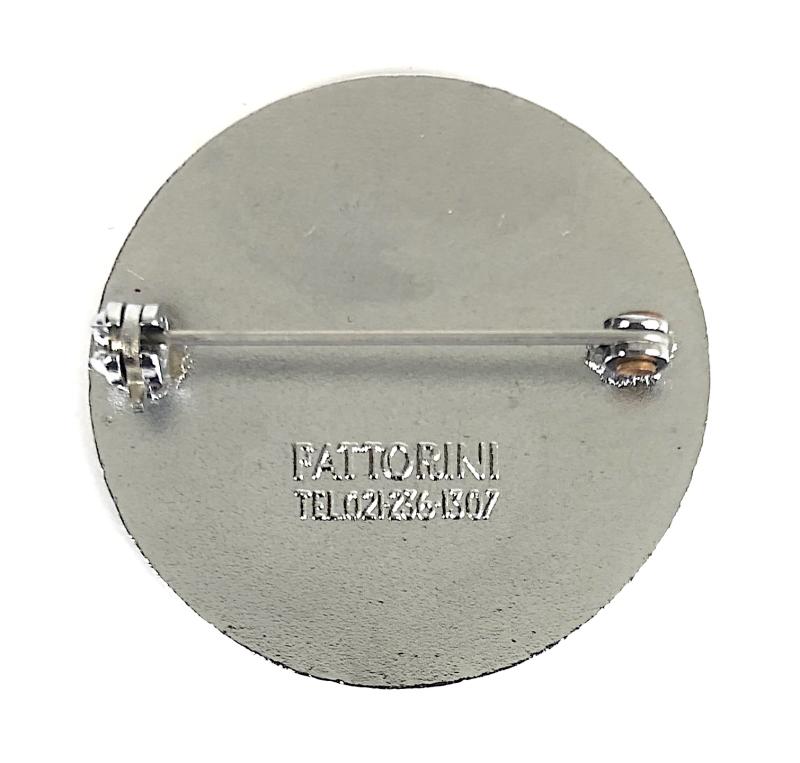 Wirral School of Nursing hospital badge Liverpool