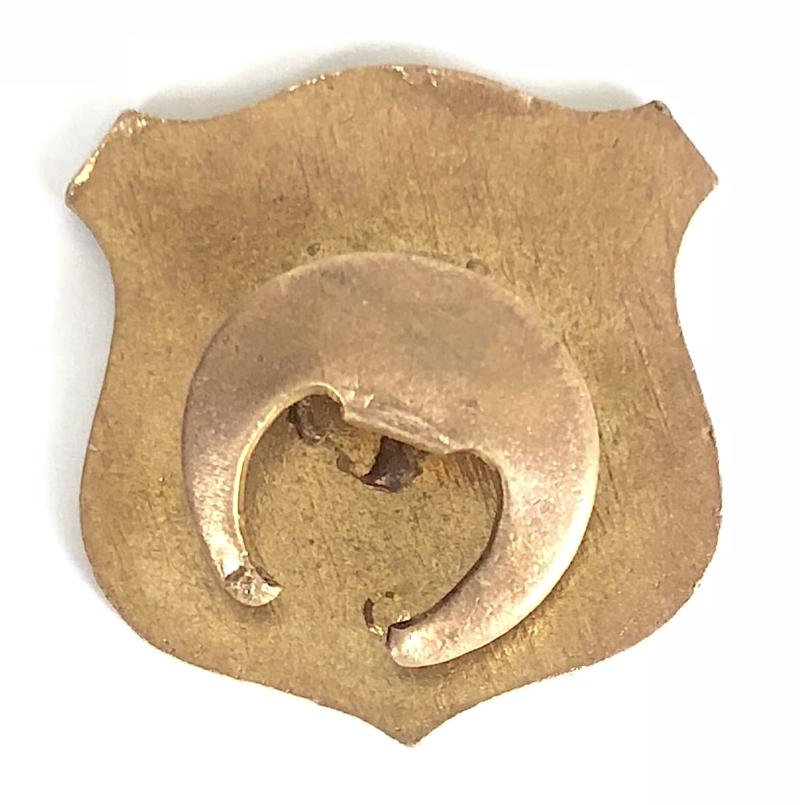 Bristol Rovers Football Club supporters badge