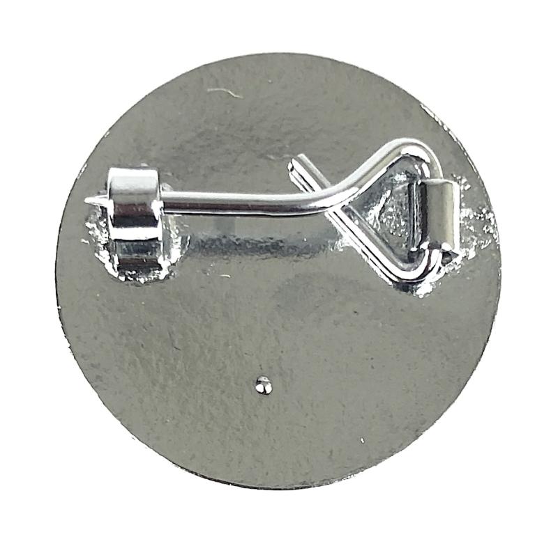 Royal Photographic Society RPS membership lapel badge