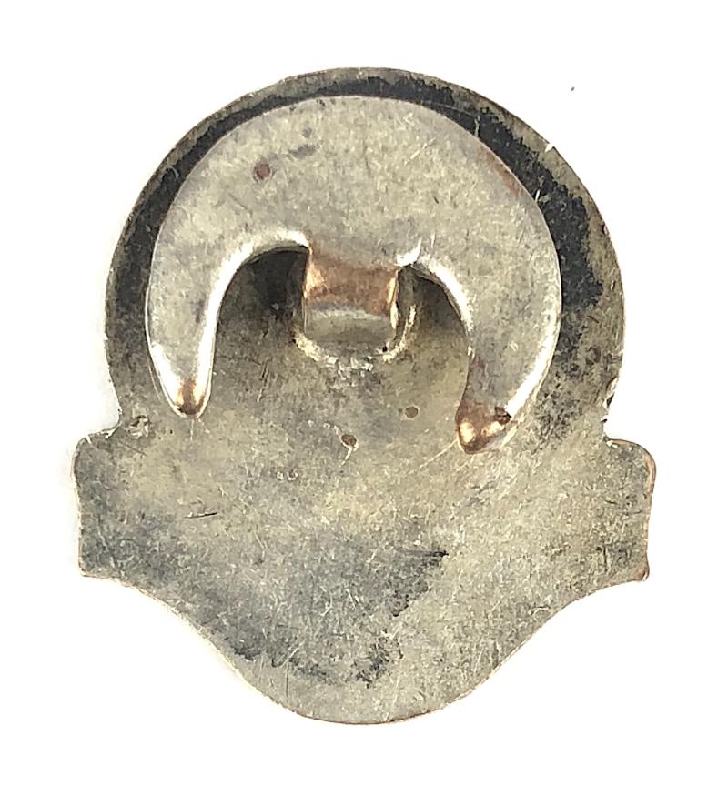 William E. Cary Ltd ARP air raid precautions badge Manchester Spring & Axle Works