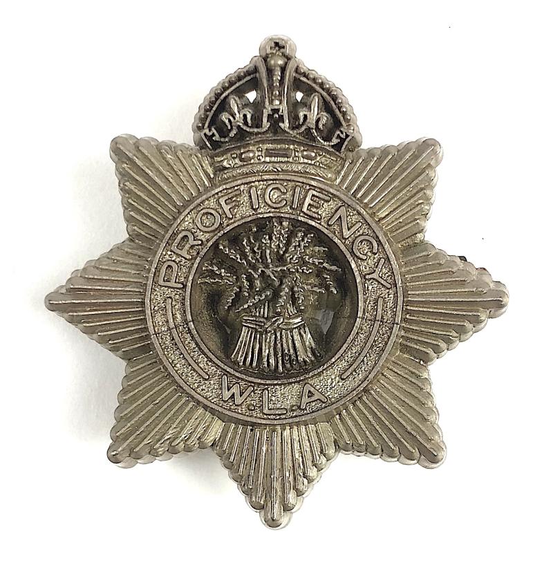 Womens Land Army proficiency plastic economy issue WLA badge