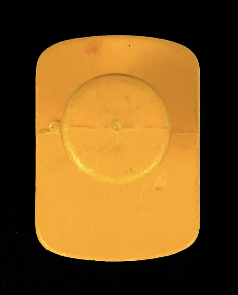 Tri-ang TT Railway club badge