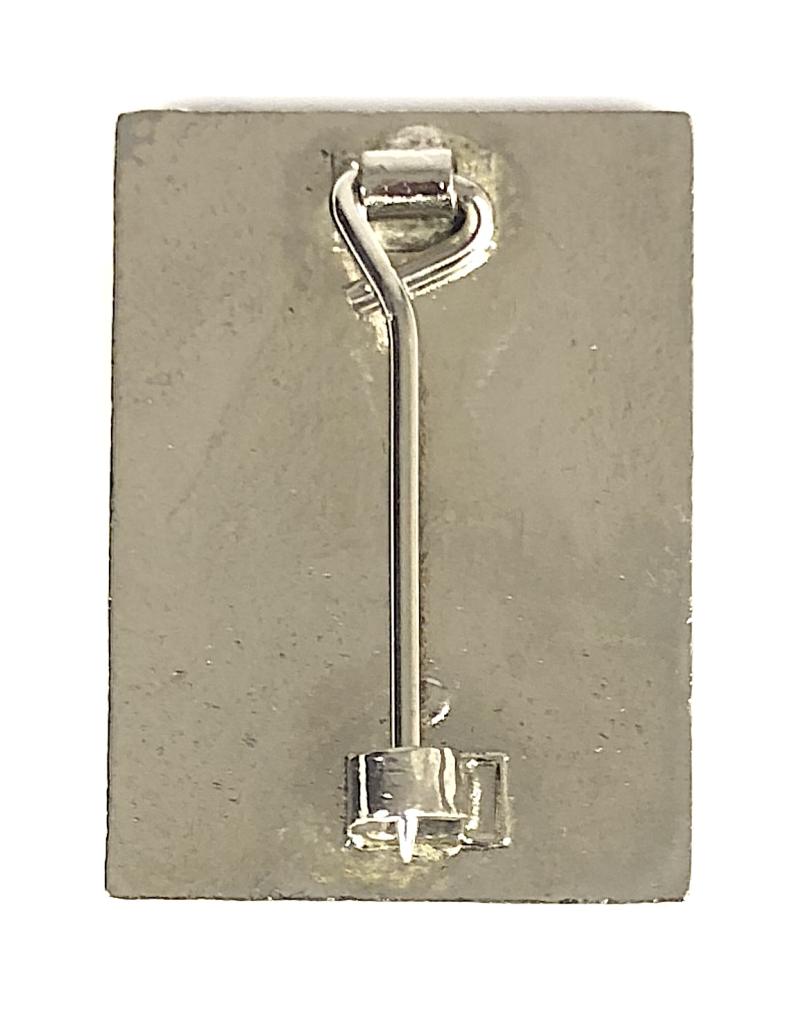 Royal College of Nursing RCN membership nurses union badge